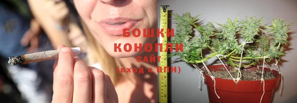 прущий лед Ладушкин