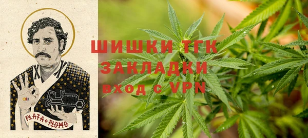 твердый Лагань