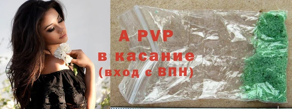 ГАЛЛЮЦИНОГЕННЫЕ ГРИБЫ Кукмор