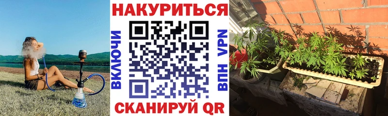 кракен ТОР  Макаров  Каннабис конопля 